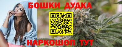 крисы Лесосибирск