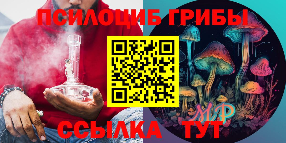 Псилоцибиновые грибы мицелий Зеленогорск