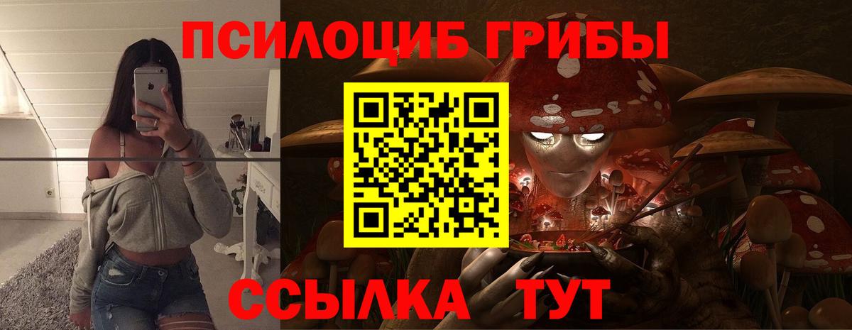 Зеленогорск  Псилоцибиновые грибы Cubensis  Галлюциногенные грибы Magic Shrooms  Вход с VPN 